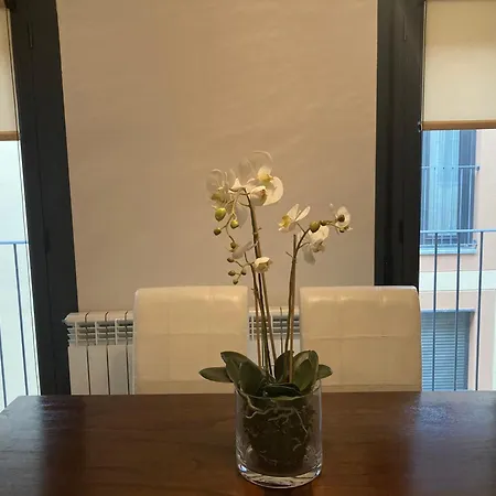 Apartamento Modern & Cosy In Pyrenees Spain *